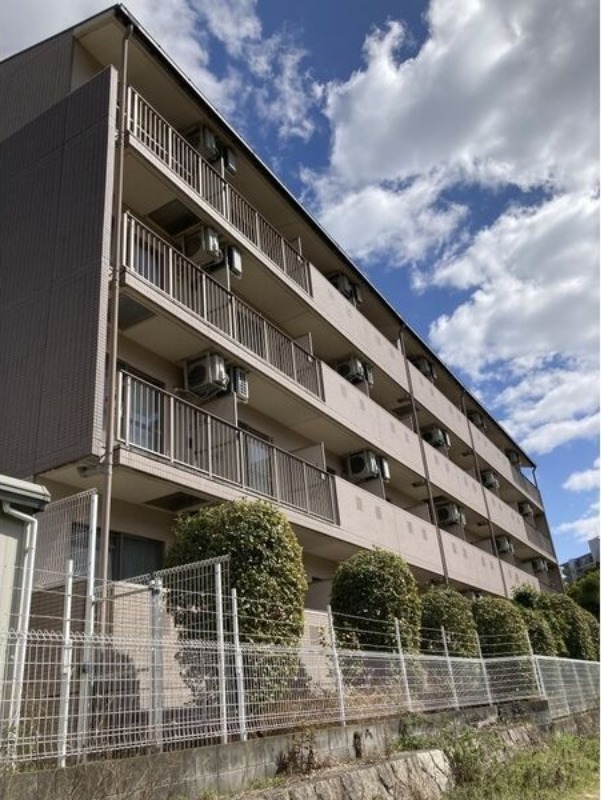 �������ߡ֡׳���