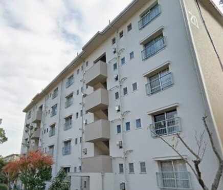 �������ߡ֡׳���