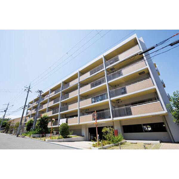 �������ߡ֡׳���