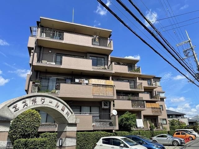 �������ߡ֡׳���