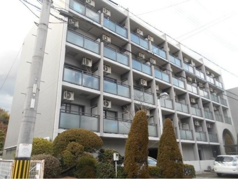 �������ߡ֡׳���