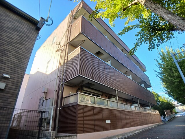 �������ߡ֡׳���