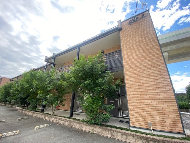 �������ߡ֡׳���