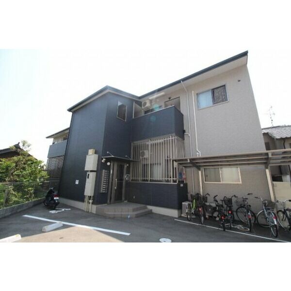 �������ߡ֡׳���