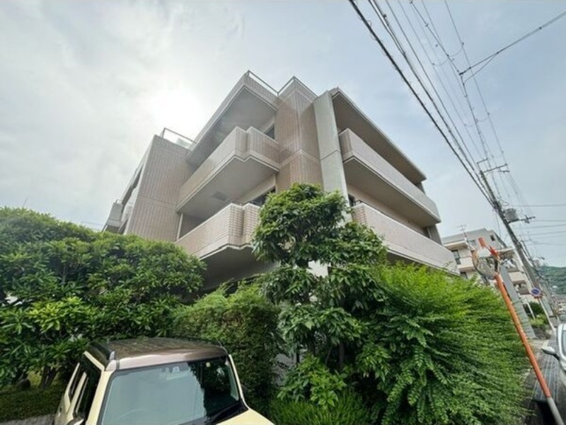 �������ߡ֡׳���