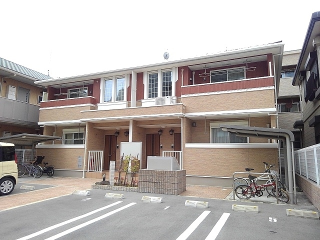 �������ߡ֡׳���