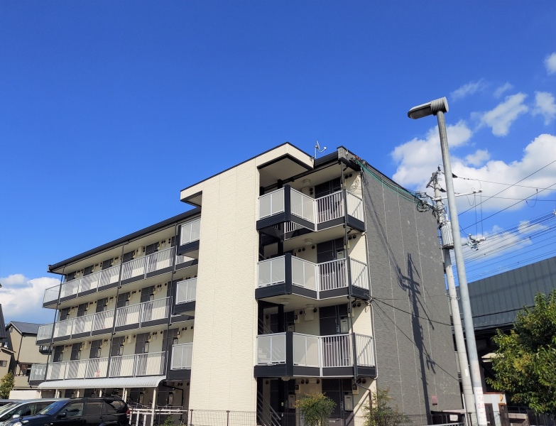 �������ߡ֡׳���