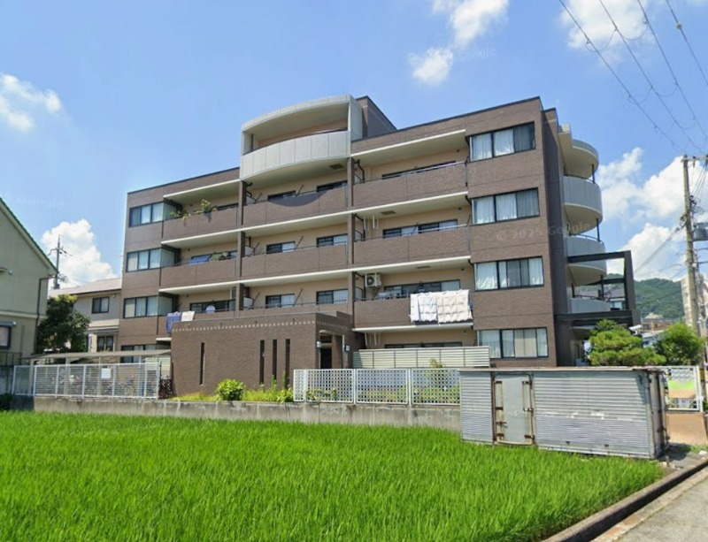 �������ߡ֡׳���