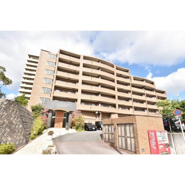 �������ߡ֡׳���