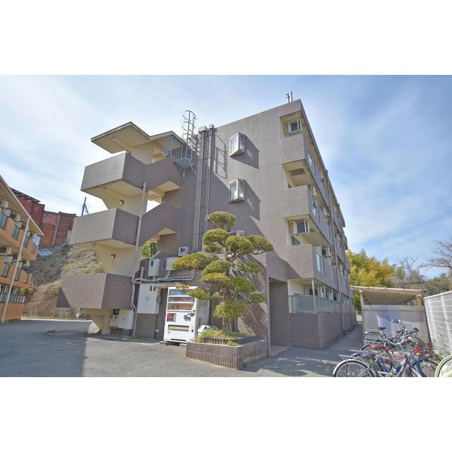 �������ߡ֡׳���