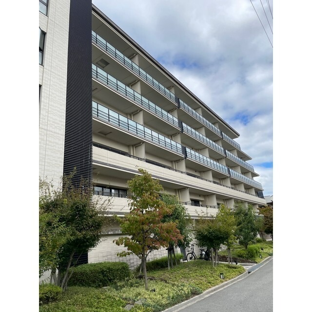 �������ߡ֡׳���