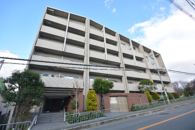 �������ߡ֡׳���