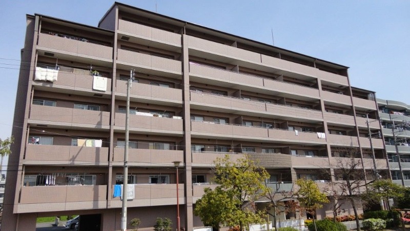 �������ߡ֡׳���