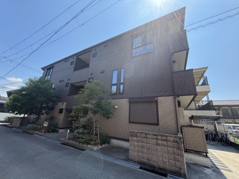 �������ߡ֡׳���