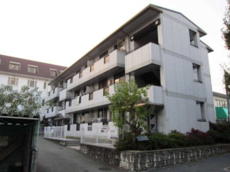 �������ߡ֡׳���