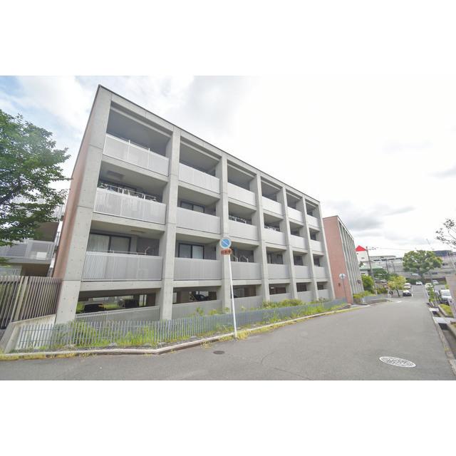 �������ߡ֡׳���