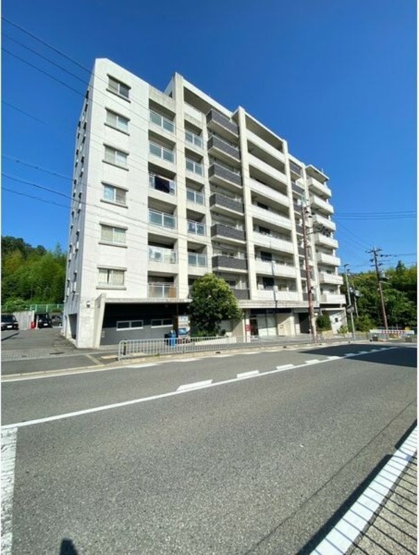 �������ߡ֡׳���