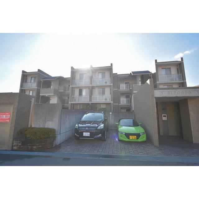 �������ߡ֡׳���