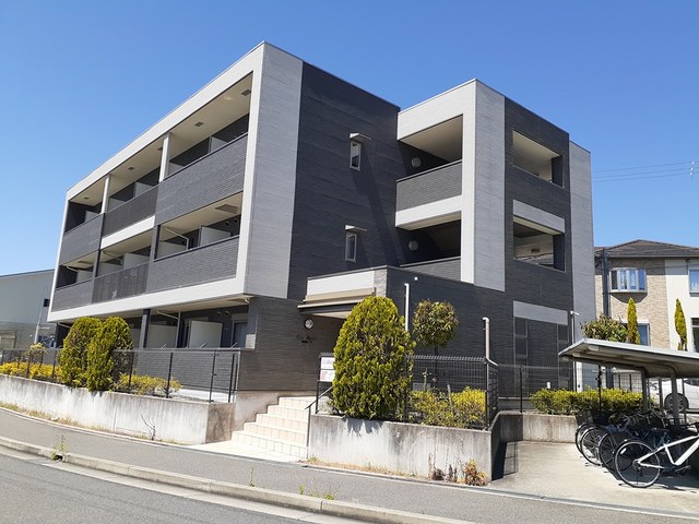 �������ߡ֡׳���