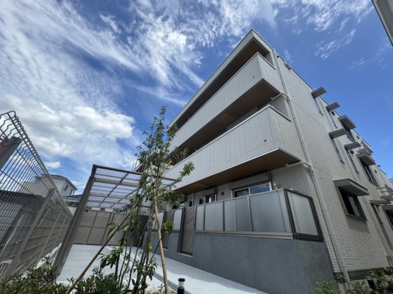 �������ߡ֡׳���