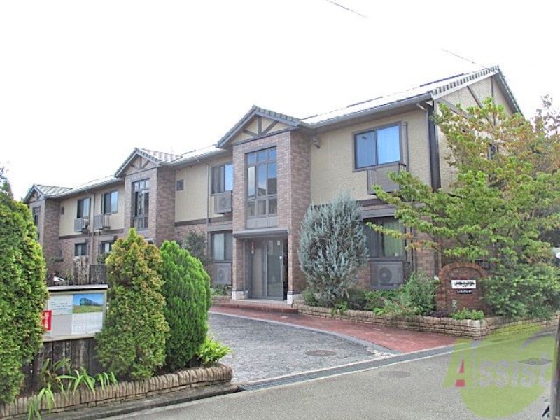 �������ߡ֡׳���