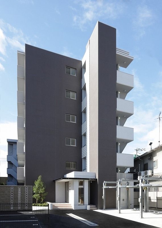 �������ߡ֡׳���