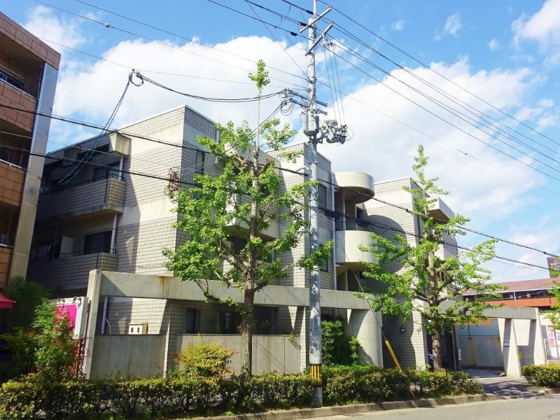 �������ߡ֡׳���