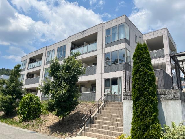 �������ߡ֡׳���