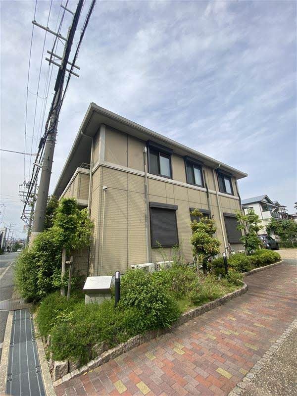 �������ߡ֡׳���