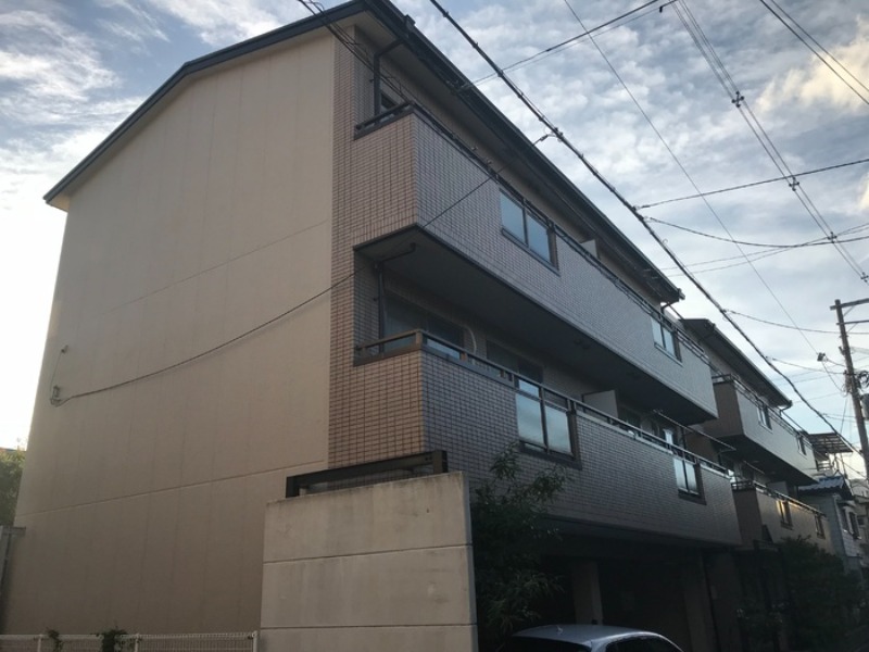 �������ߡ֡׳���