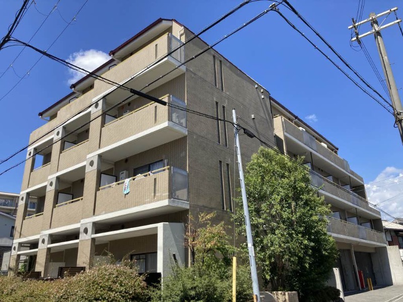 �������ߡ֡׳���