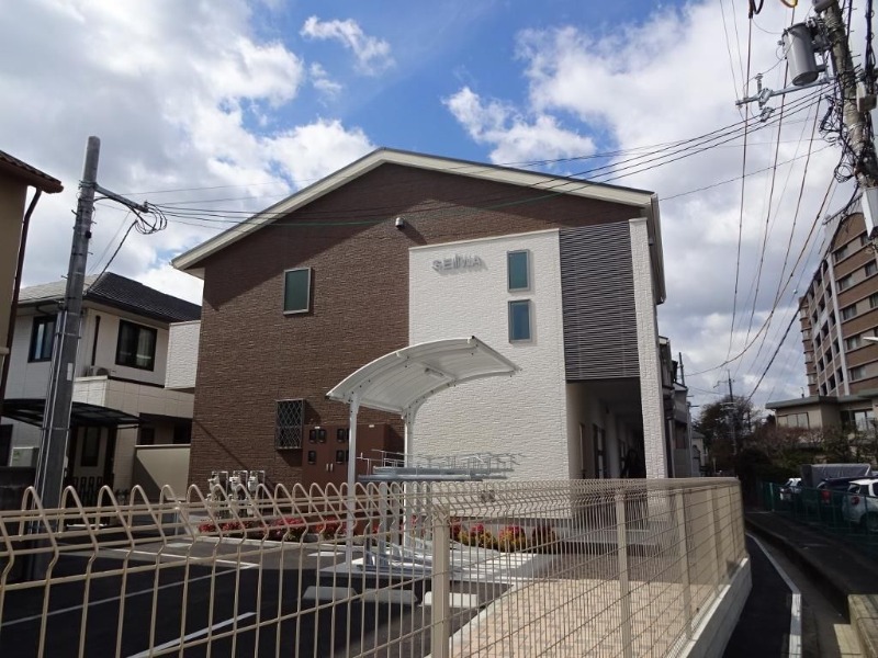 �������ߡ֡׳���