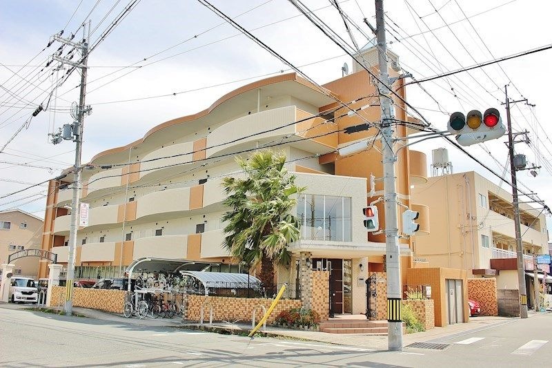 �������ߡ֡׳���