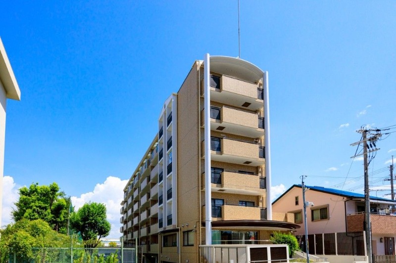 �������ߡ֡׳���