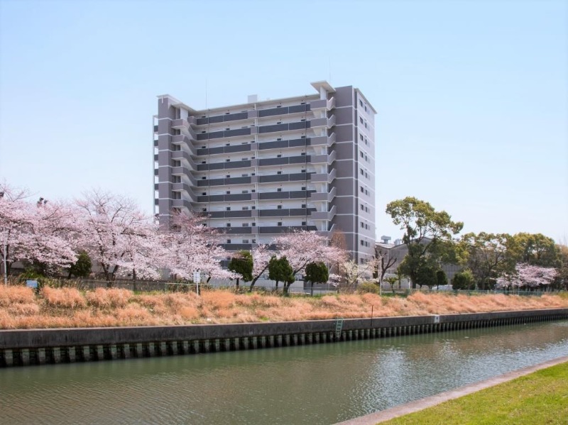 �������ߡ֡׳���