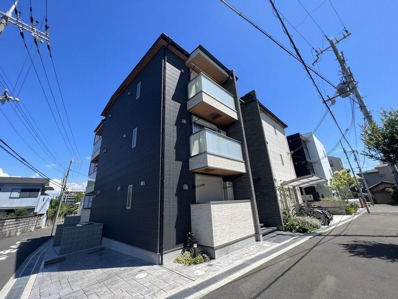 �������ߡ֡׳���