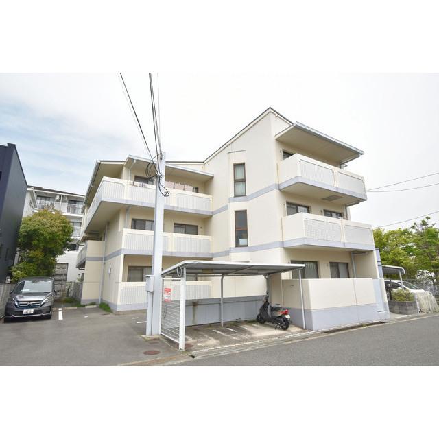 �������ߡ֡׳���