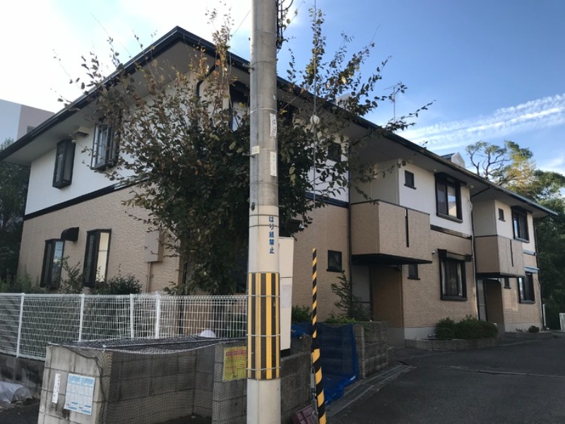 �������ߡ֡׳���