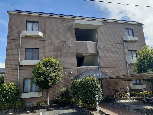 �������ߡ֡׳���