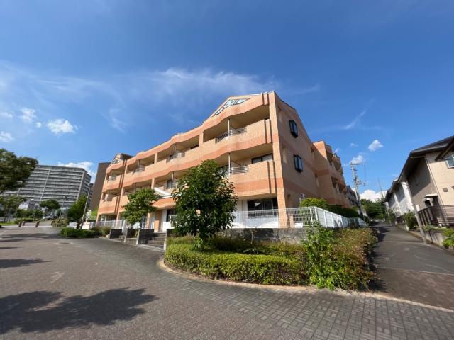 �������ߡ֡׳���