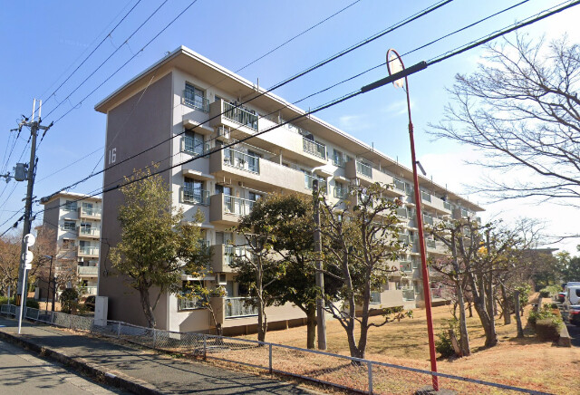 �������ߡ֡׳���