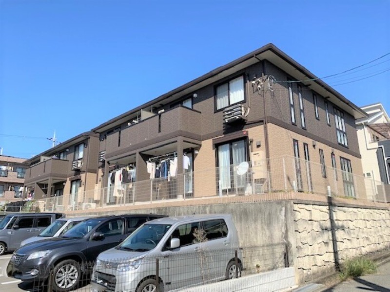 �������ߡ֡׳���