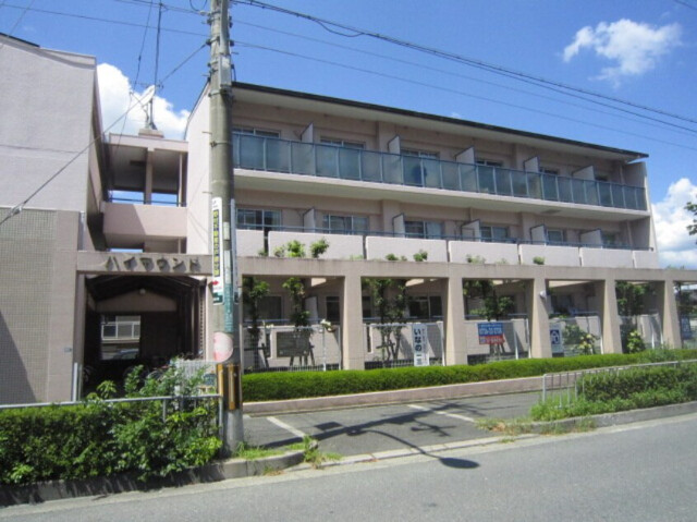 �������ߡ֡׳���