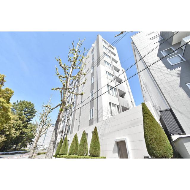 �������ߡ֡׳���