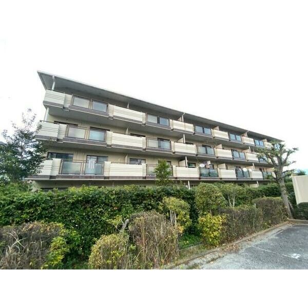 �������ߡ֡׳���