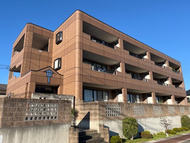 �������ߡ֡׳���