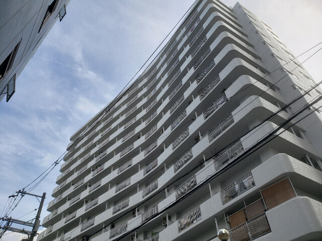 �������ߡ֡׳���