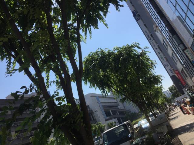 ����ŷ������ ����Į�ؤκ�������Υ١���������ߤβ���