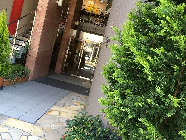 �������� �ͥĶ��ؤκ�������Υ١���������ߤβ���