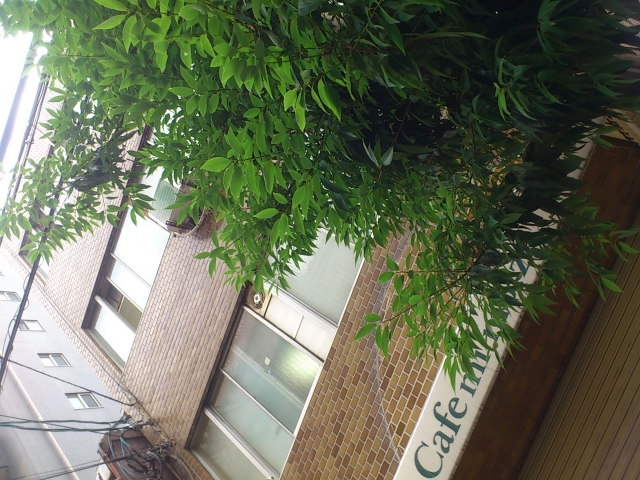 �������� ���Ⱥ±ؤκ�������Υ١���������ߤβ���